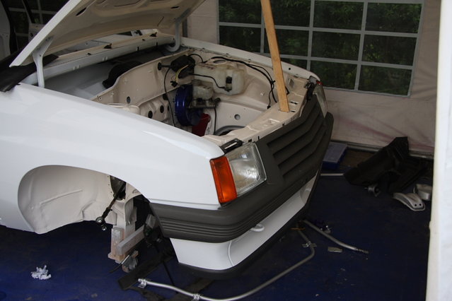 cors397.JPG (349.04 KiB) 58856 mal betrachtet Das Gesicht nimmt langsam Form an